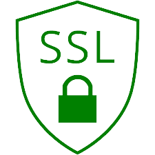 ssl_icon-removebg-preview (1)